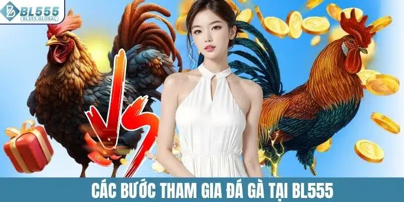 Các bước tham gia đá gà tại BL555