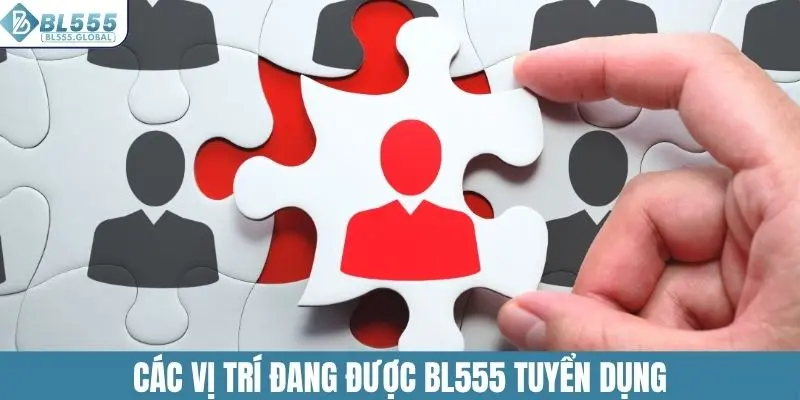 Các vị trí đang được BL555 tuyển dụng