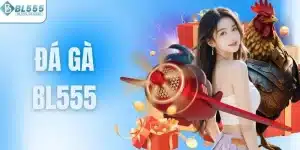 Đá gà BL555