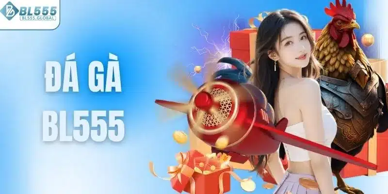 Đá gà BL555