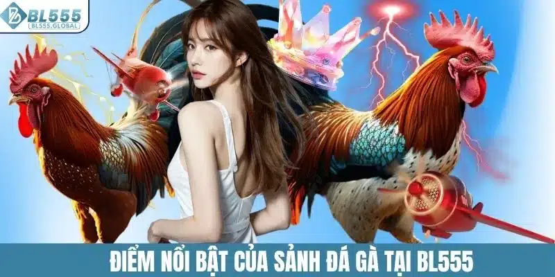 Điểm nổi bật của sảnh đá gà tại BL555