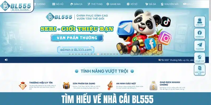 Khái quát nhanh về thương hiệu BL555