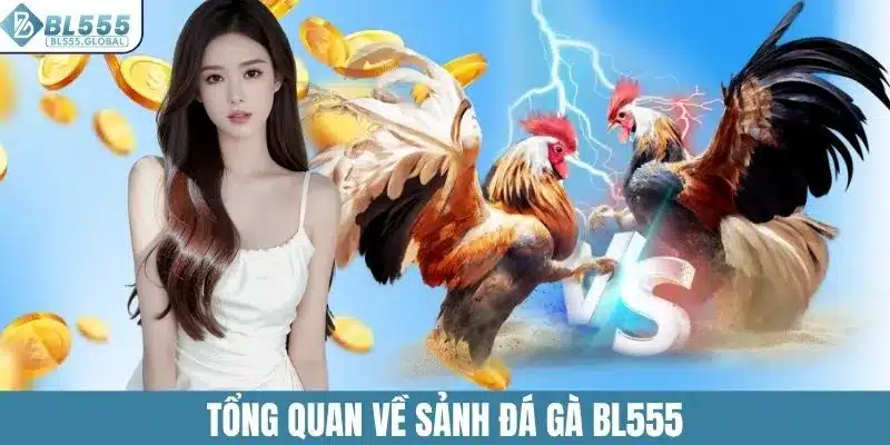 Tổng quan về sảnh đá gà BL555
